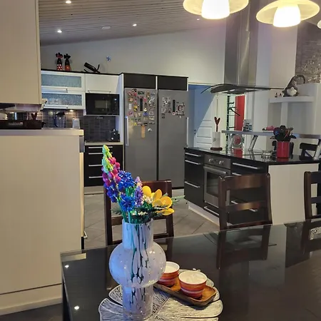 Snowflake 빌라 로바니에미